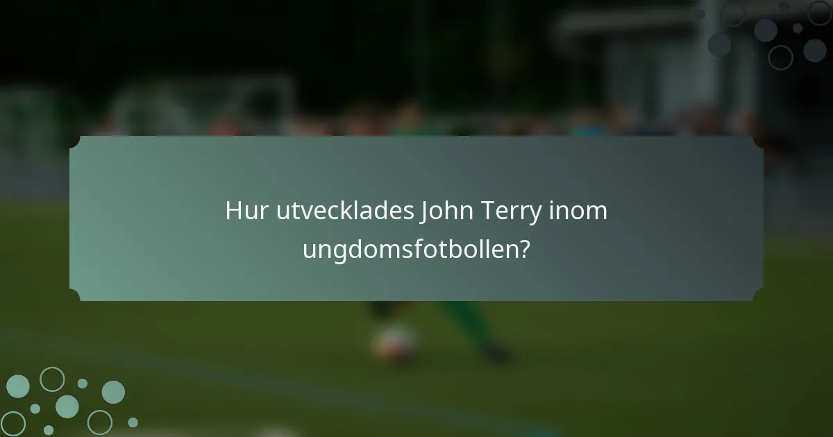 Hur utvecklades John Terry inom ungdomsfotbollen?