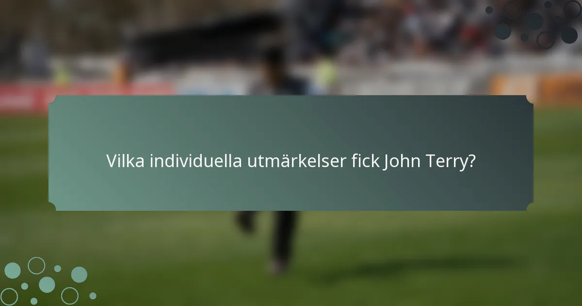 Vilka individuella utmärkelser fick John Terry?
